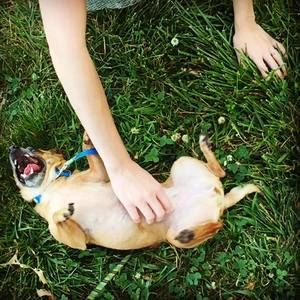 Meet your Posher, Ashton